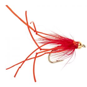 FLEXI FLOSS BH DADDY RED