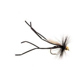 FLEXI FLOSS BH DADDY BLACK