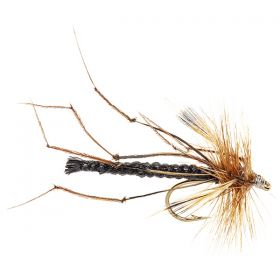 DETACHED DADDY BLACK