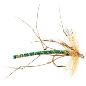 DETACHED DADDY GREEN