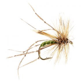 DADDY LONG LEGS OLIVE