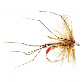 DADDY LONG LEGS RED BUTT