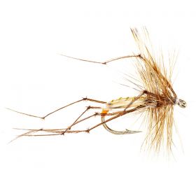 DADDY LONG LEGS ORANGE BUTT