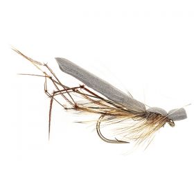 FOAM BODY DADDY GREY