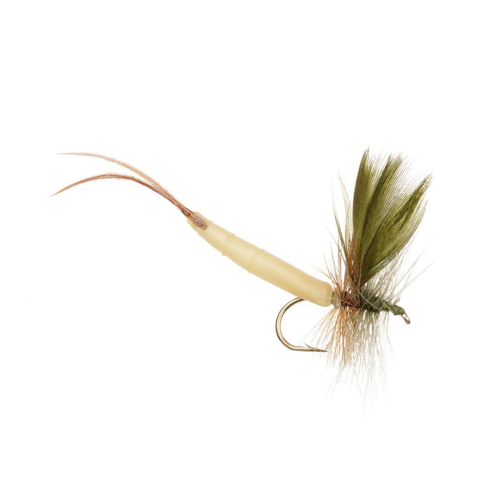 DETACHED GREEN DRAKE MAYFLY
