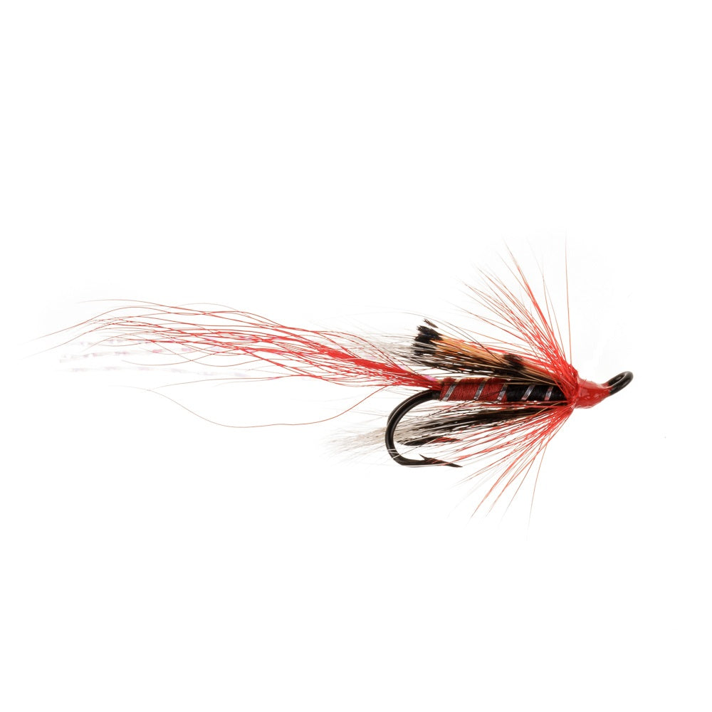 ALLY'S SHRIMP-RED