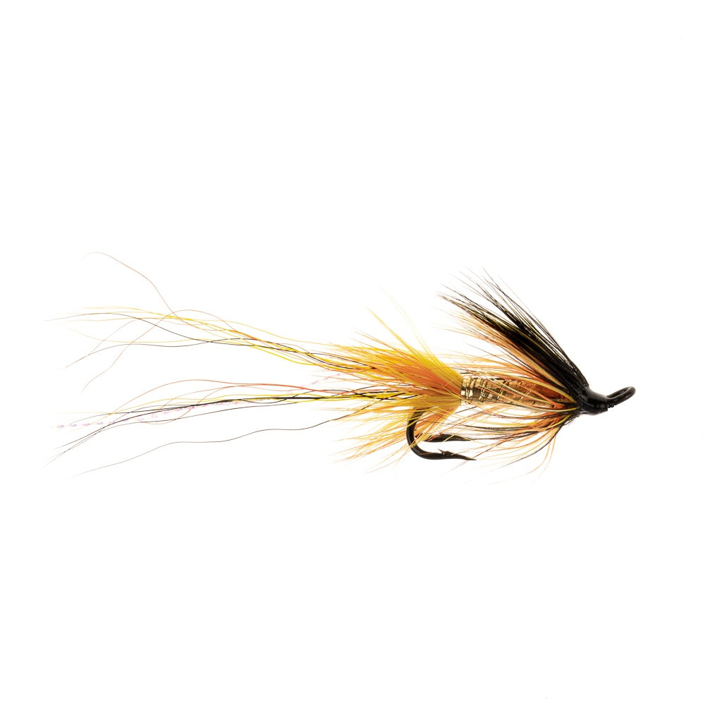 WILLIE GUNN GOLD