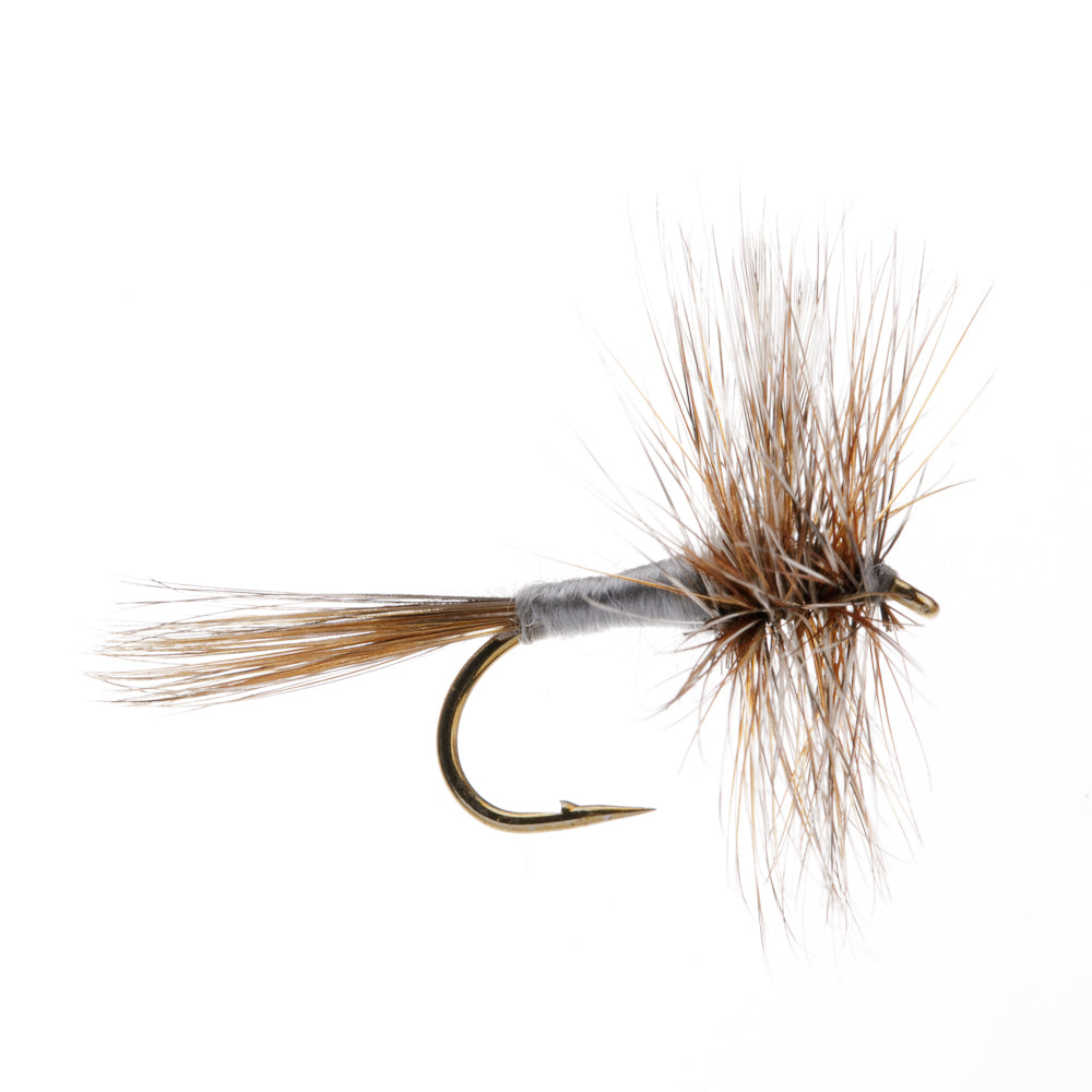 ADAMS DRY WINGED