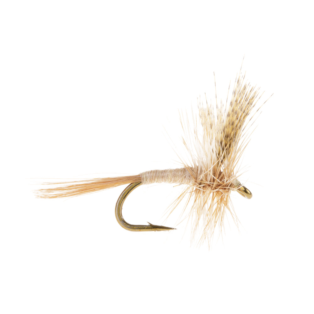 CAHILL LIGHT DRY WINGED