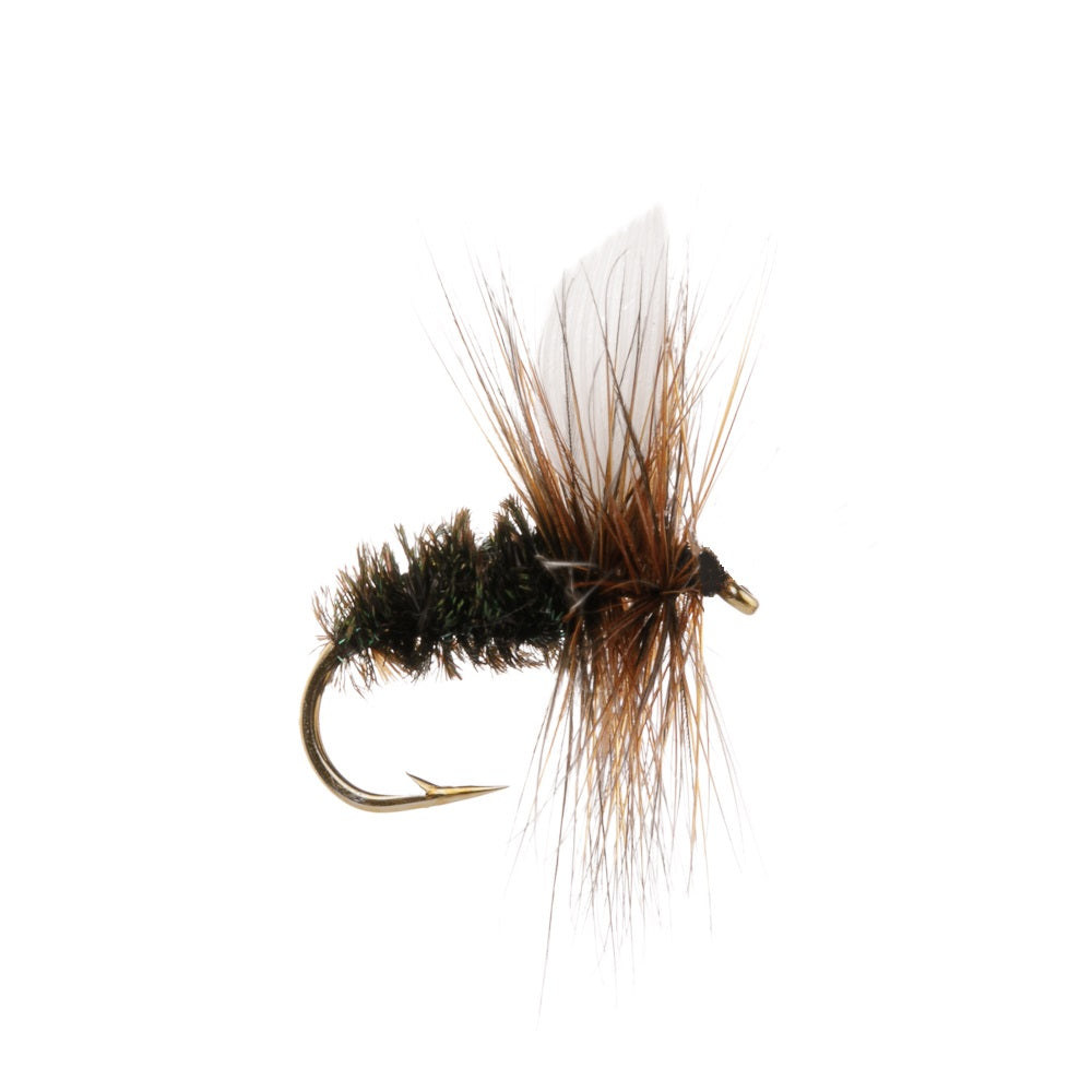COACHMAN DRY HACKLED