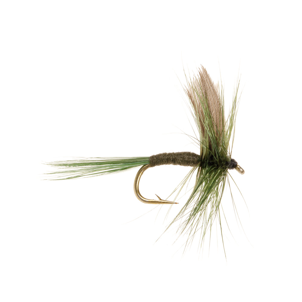 DARK OLIVE DUN