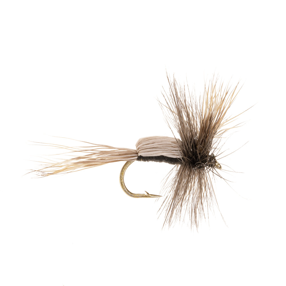 HUMPY-BLACK