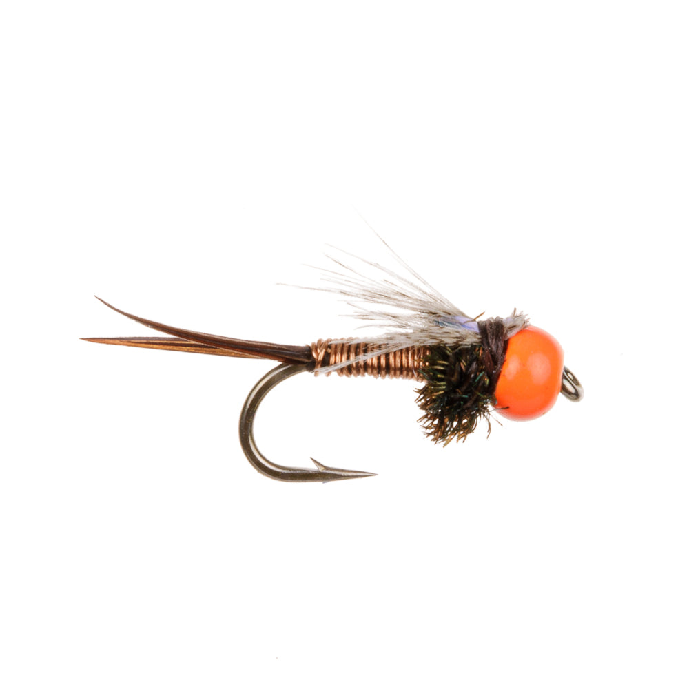 COPPER JOHN