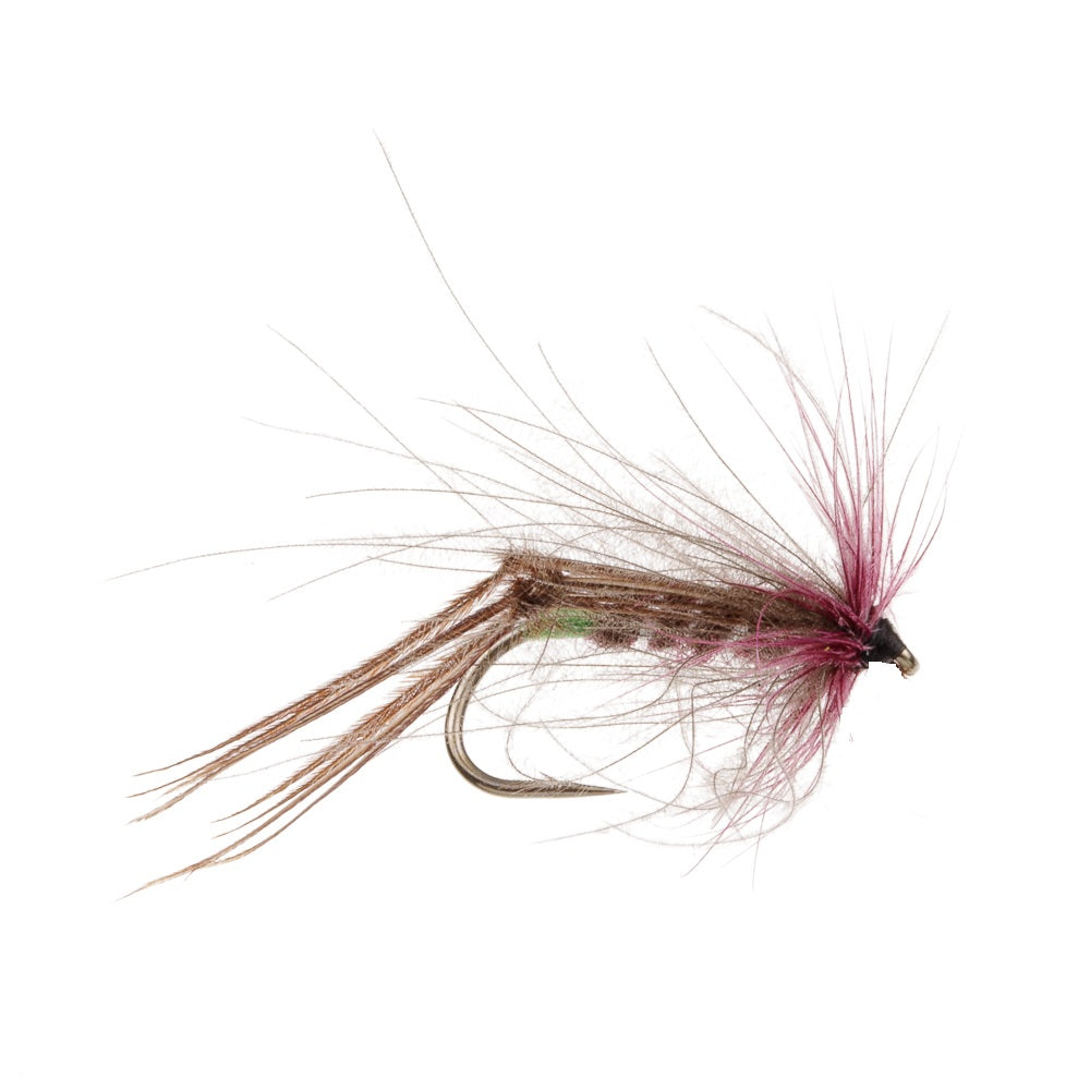CLARET BRISTOL HOPPER CDC