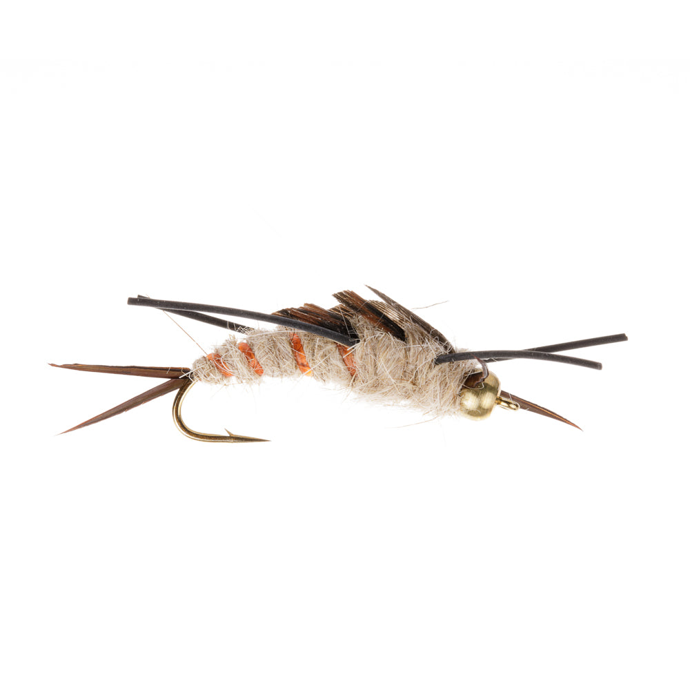 LARGE LIGHT STONEFLY