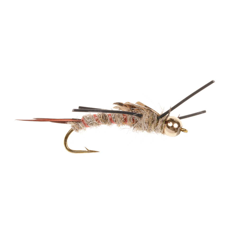LARGE LIGHT STONEFLY