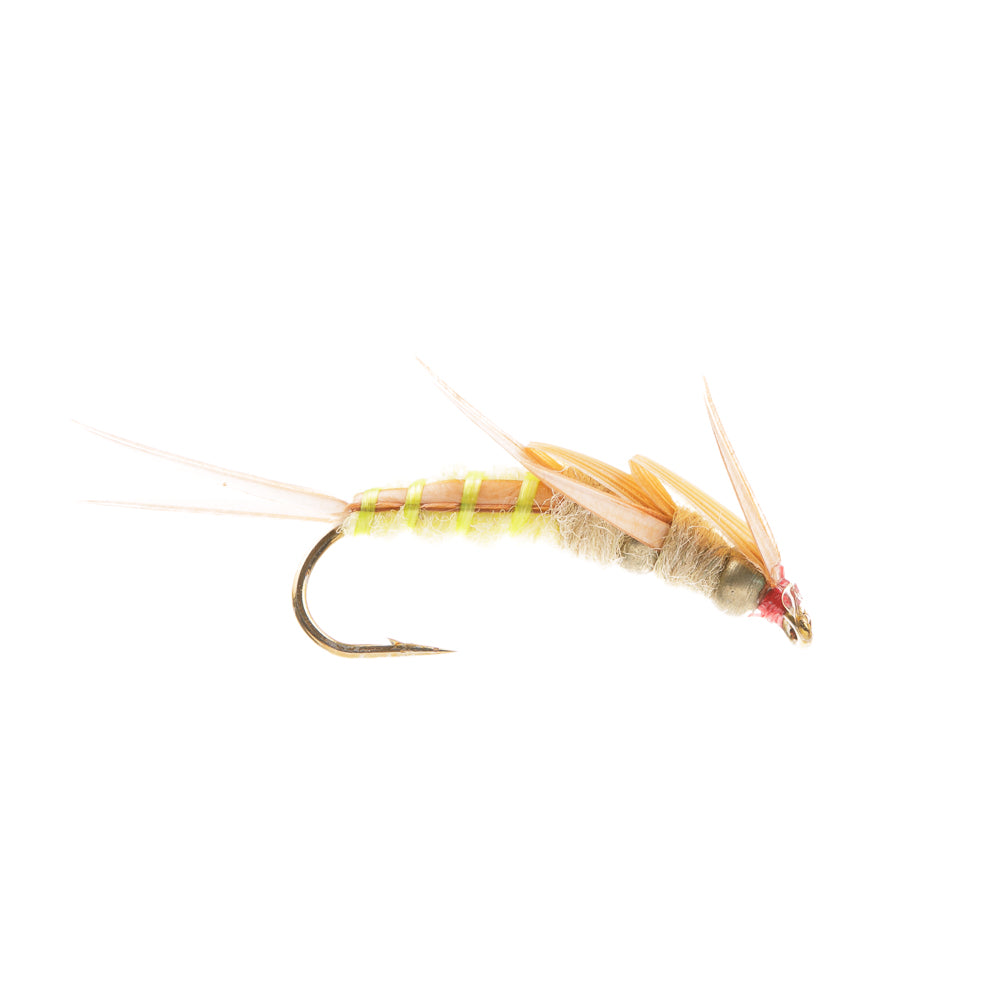 BIOT CREEPER NYMPH - CREAM