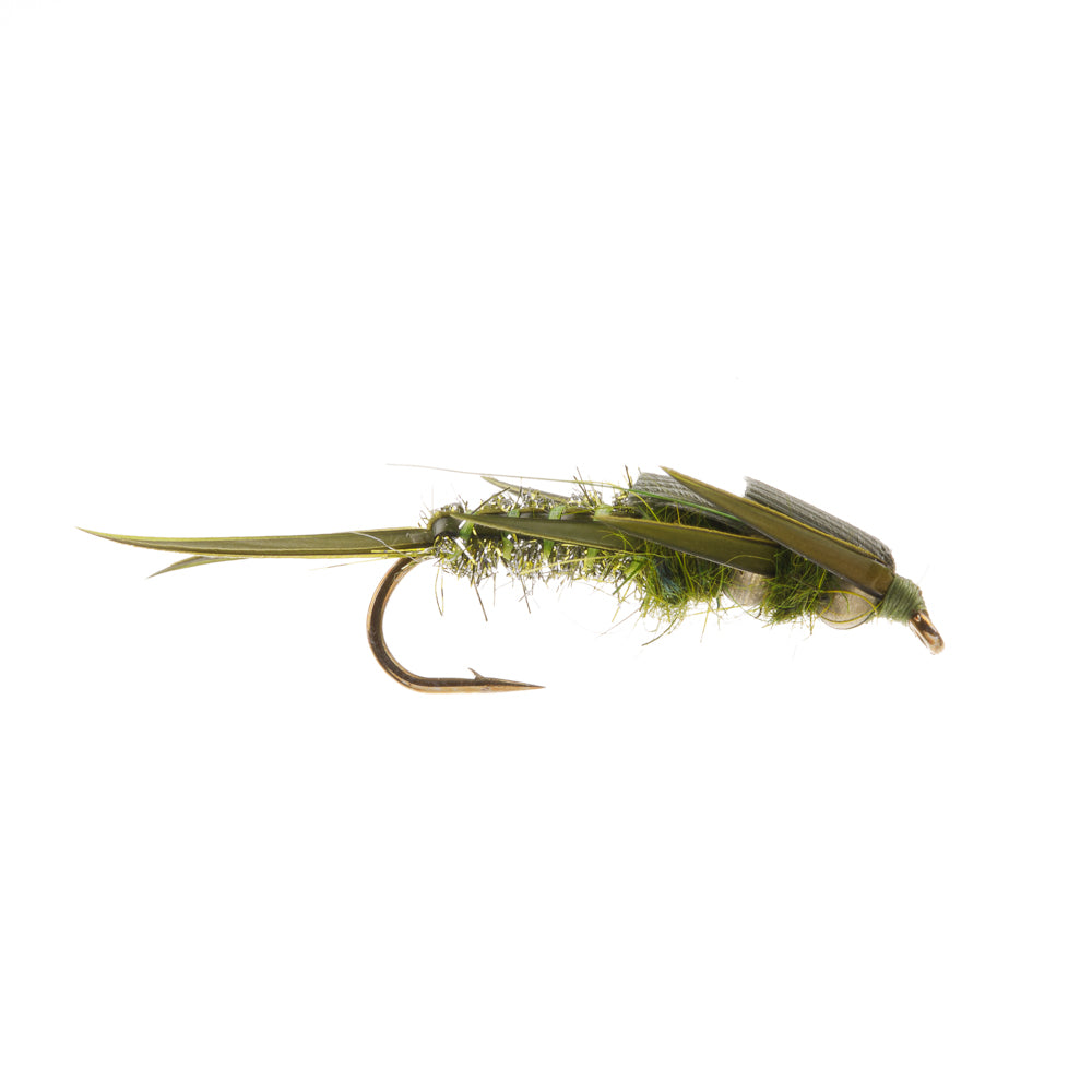 BIOT CREEPER NYMPH - OLIVE