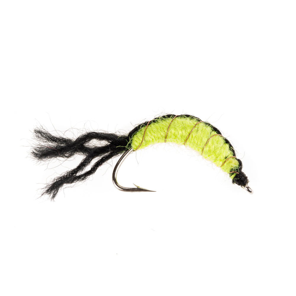 MAGGOT SHRIMP BLACK