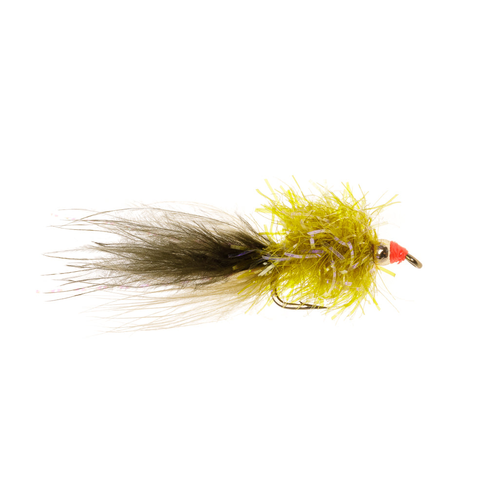 GOLDEN OLIVE