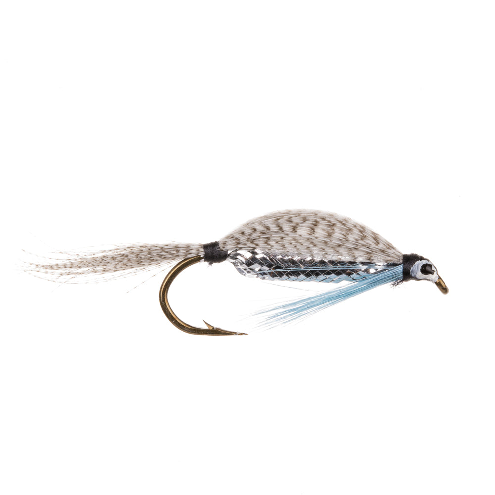 SILVER MINNOW
