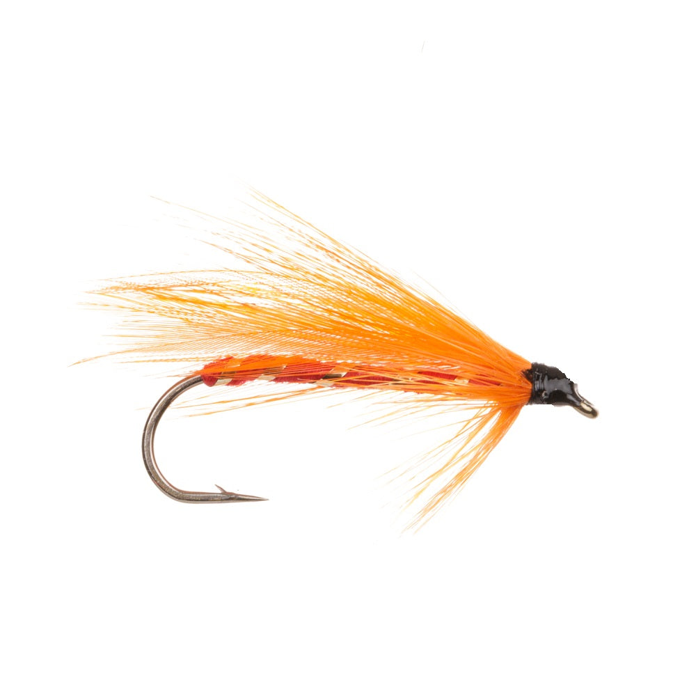 WHISKEY FLY