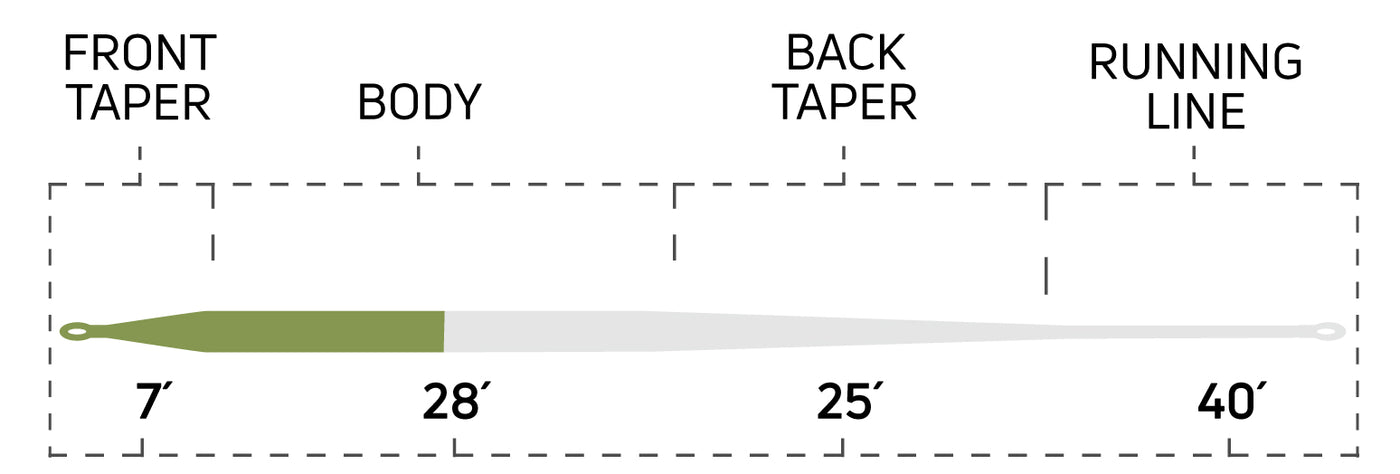 LONG BELLY DISTANCE GREEN
