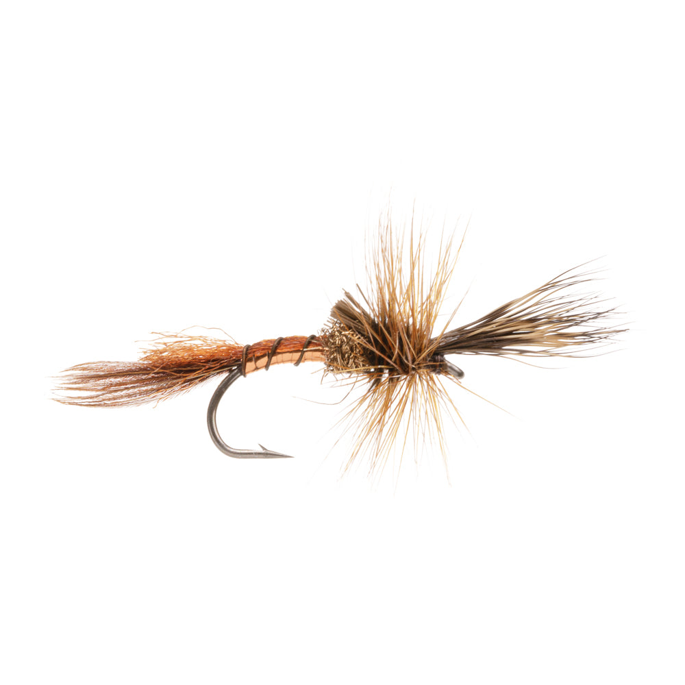 BROWN DRAKE CRIPPLE MAYFLY