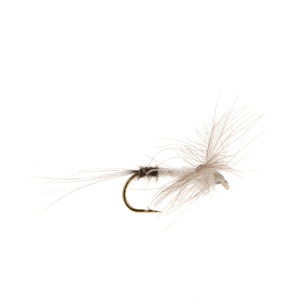 CDC MAYFLY SPENT