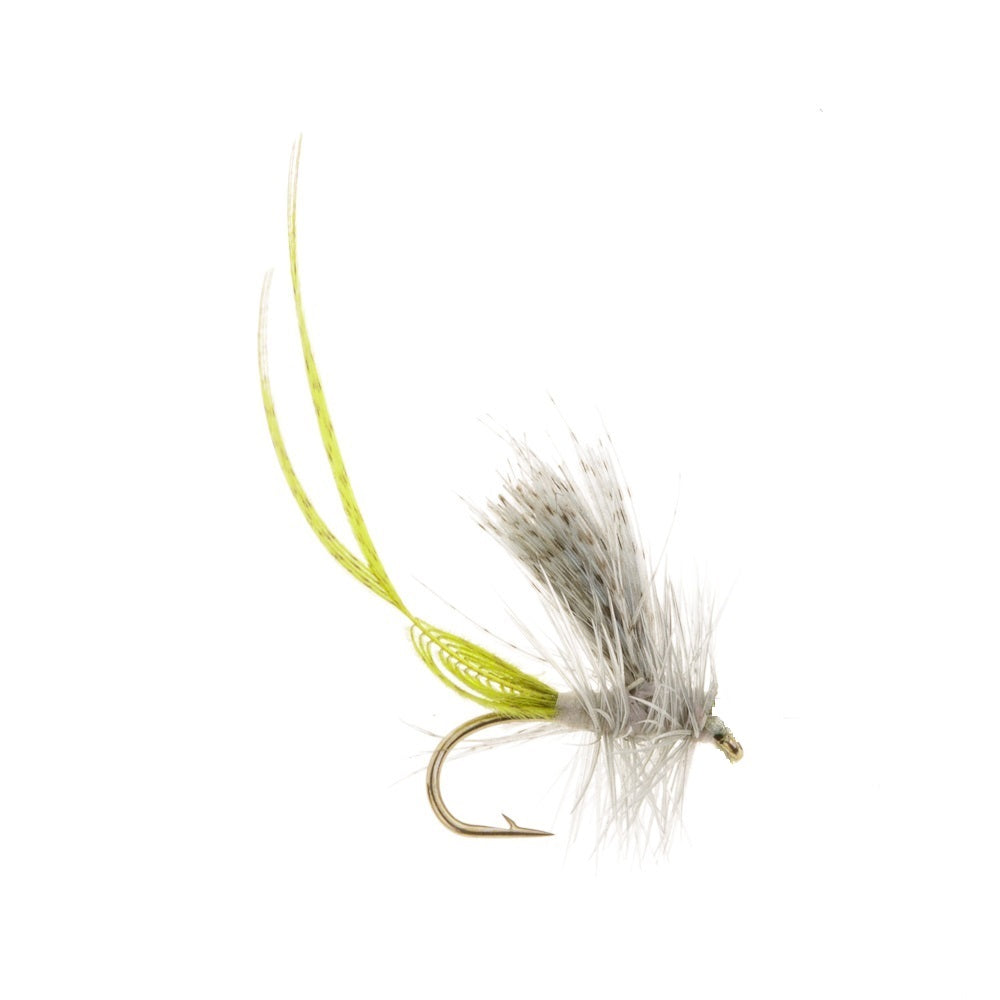 BWO HATCHMASTER