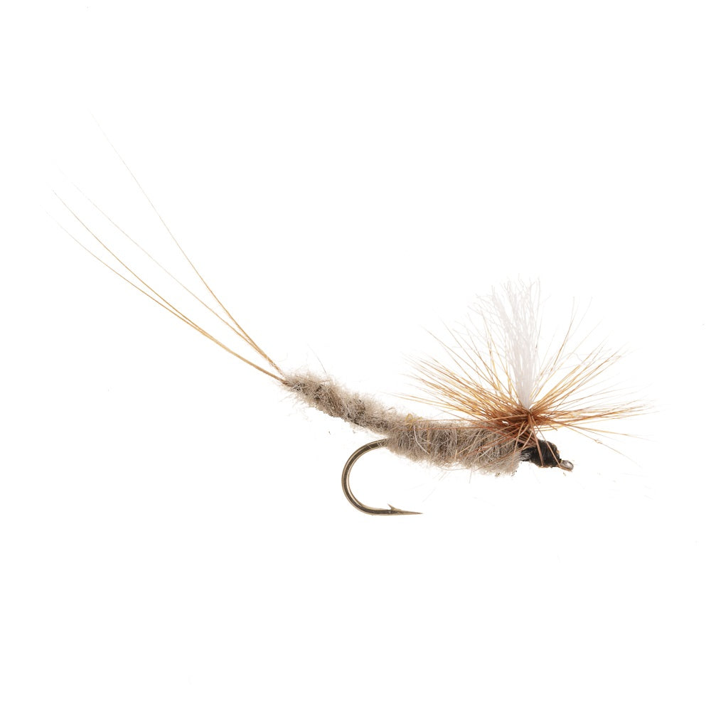 VULGATA MAYFLY