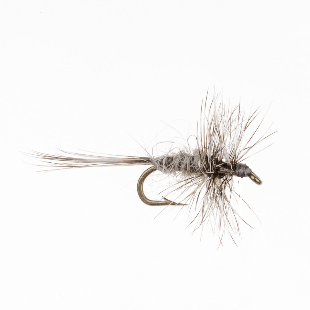 ADAMS MIDGE