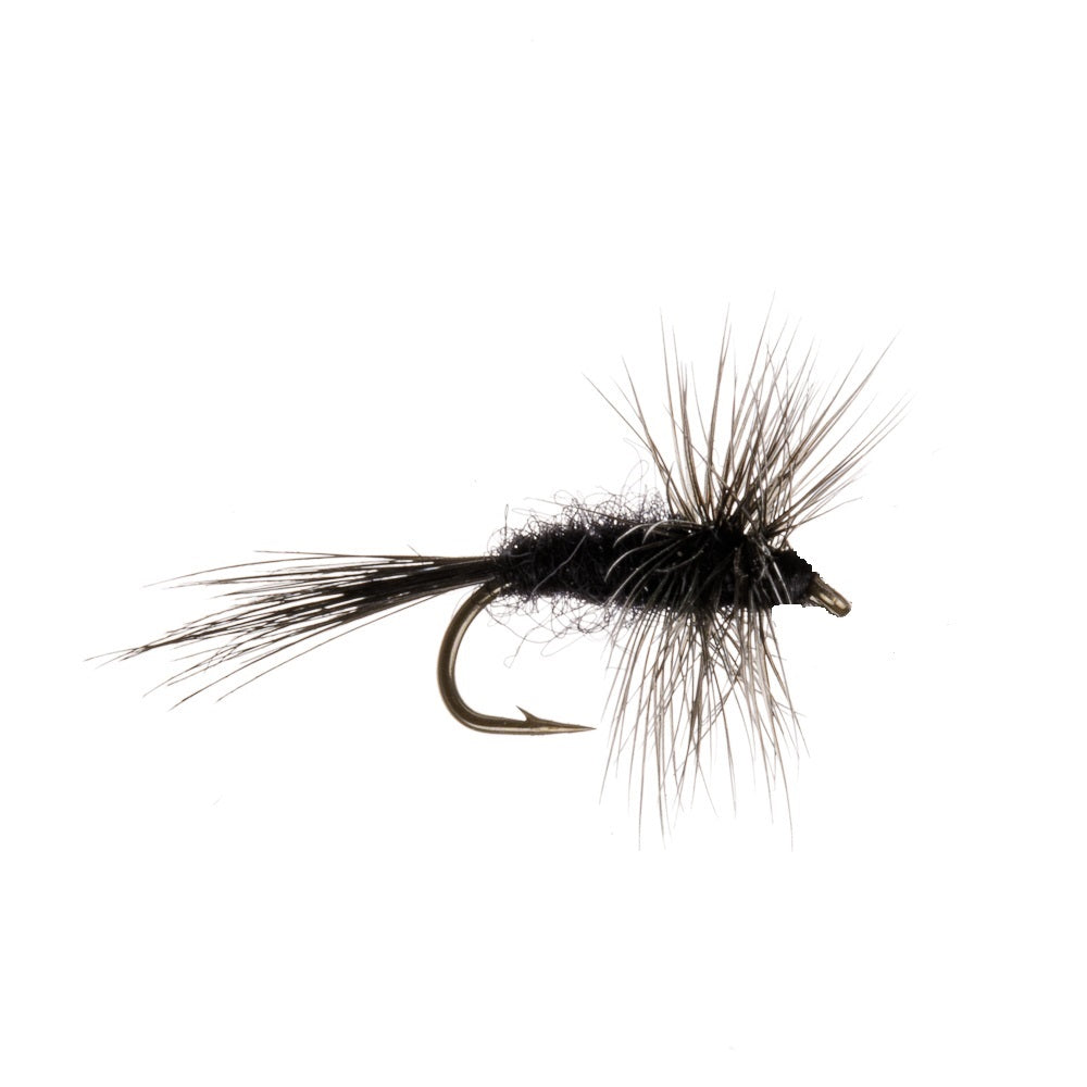 BLACK MIDGE