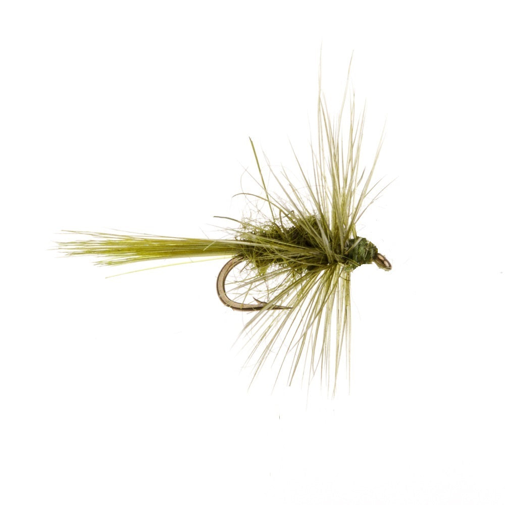 OLIVE MIDGE