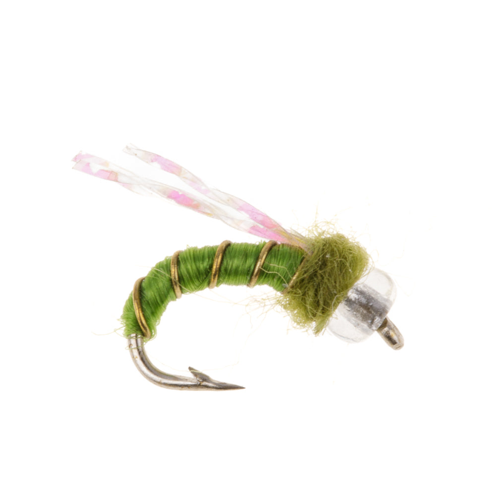 CRYSTAL MIDGE OLIVE
