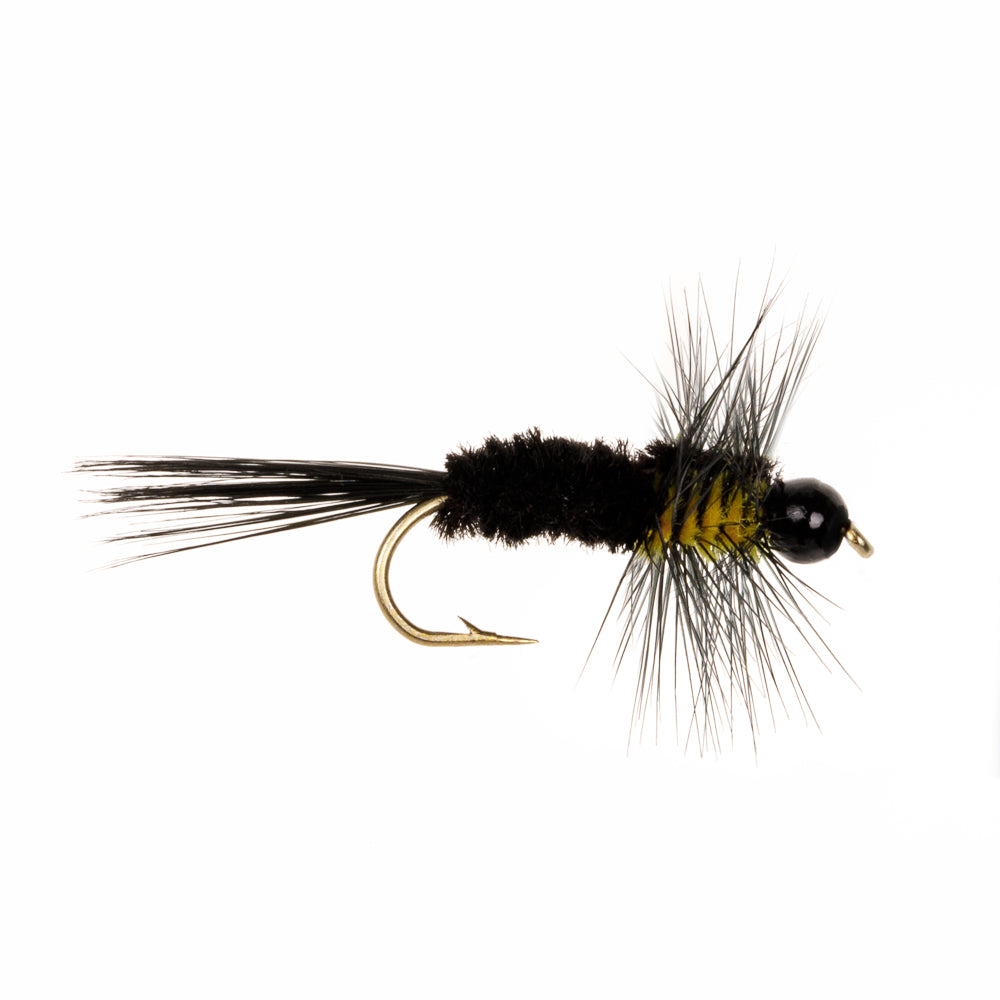 TUNGSTEN MONTANA YELLOW