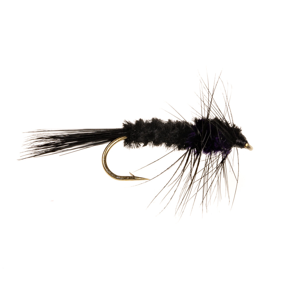 WEIGHTED MONTANA PURPLE