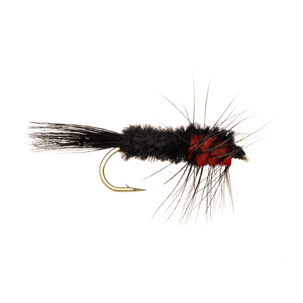 WEIGHTED MONTANA RED