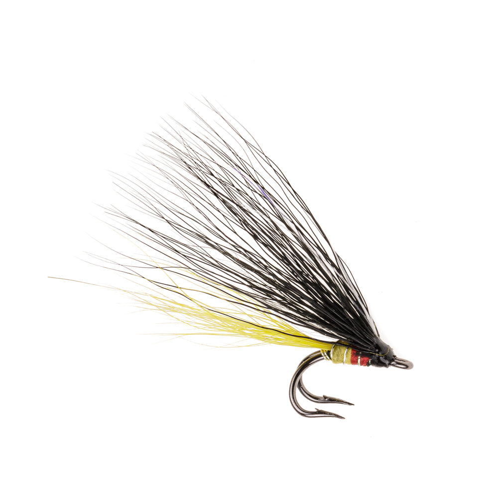 GYPSY NORDIC DOUBLE