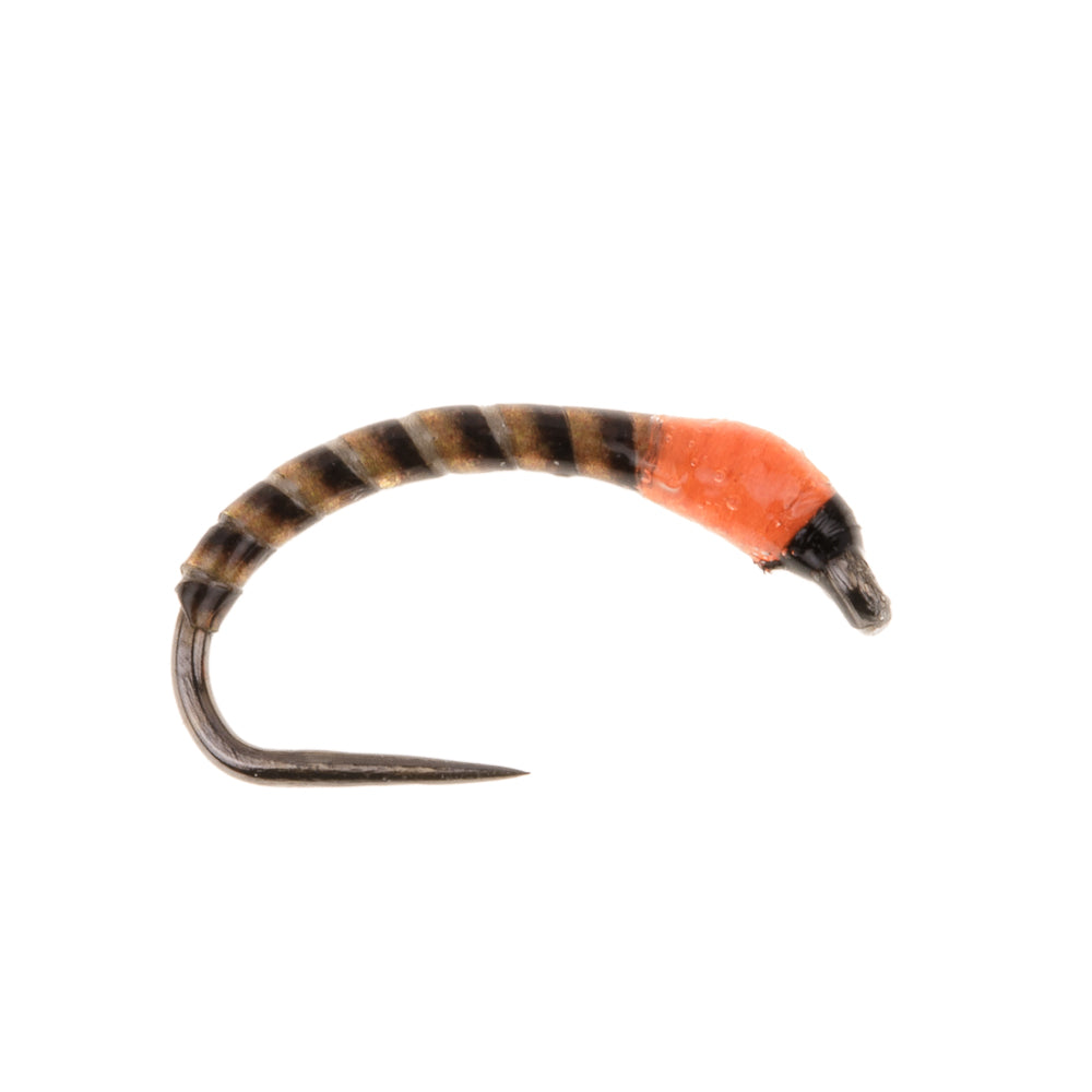 ORANGE BARBLESS