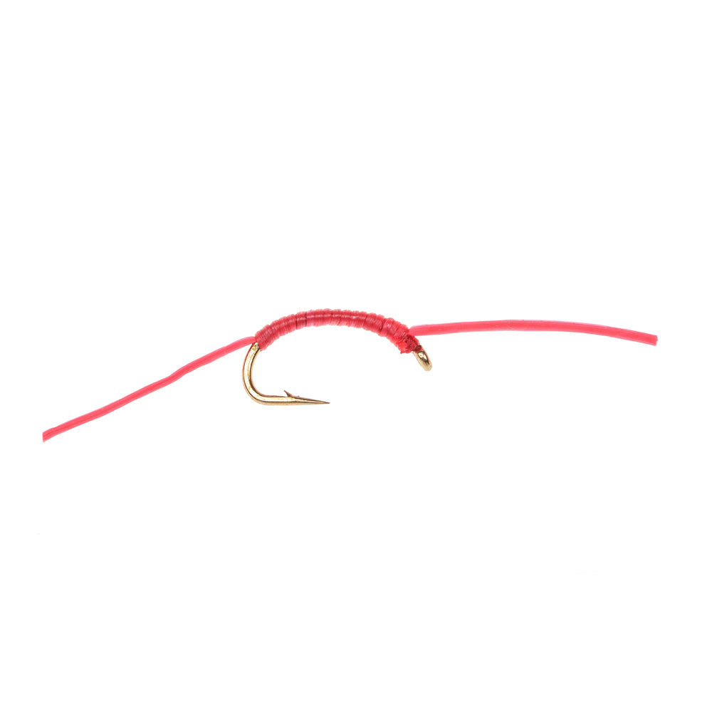 FLEXI SLIM LINE BLOODWORM