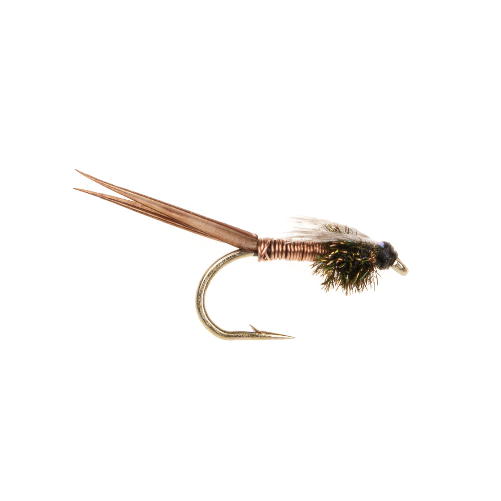 COPPER JOHN