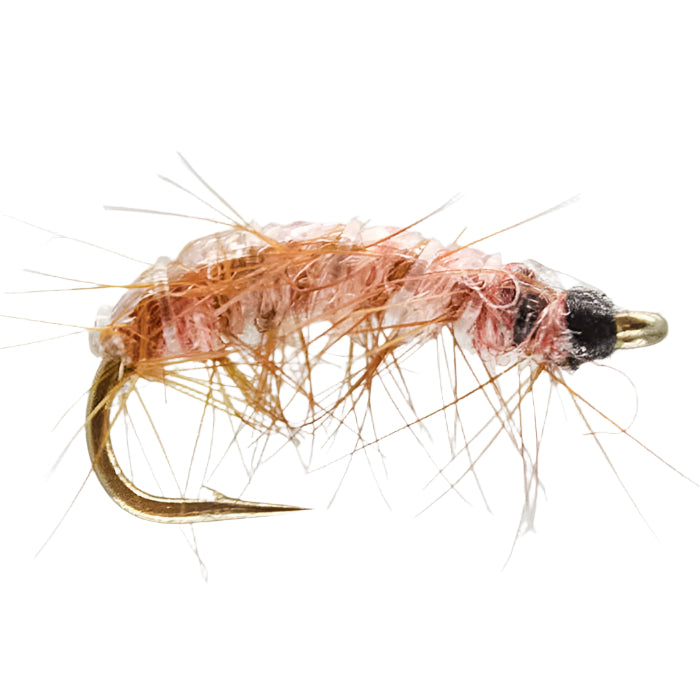 SHRIMP - Pink