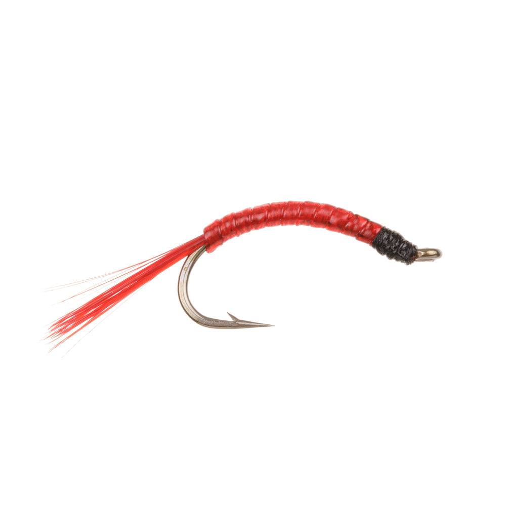 BLOODWORM GLASS