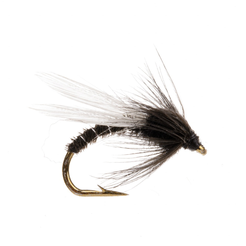DUCKFLY