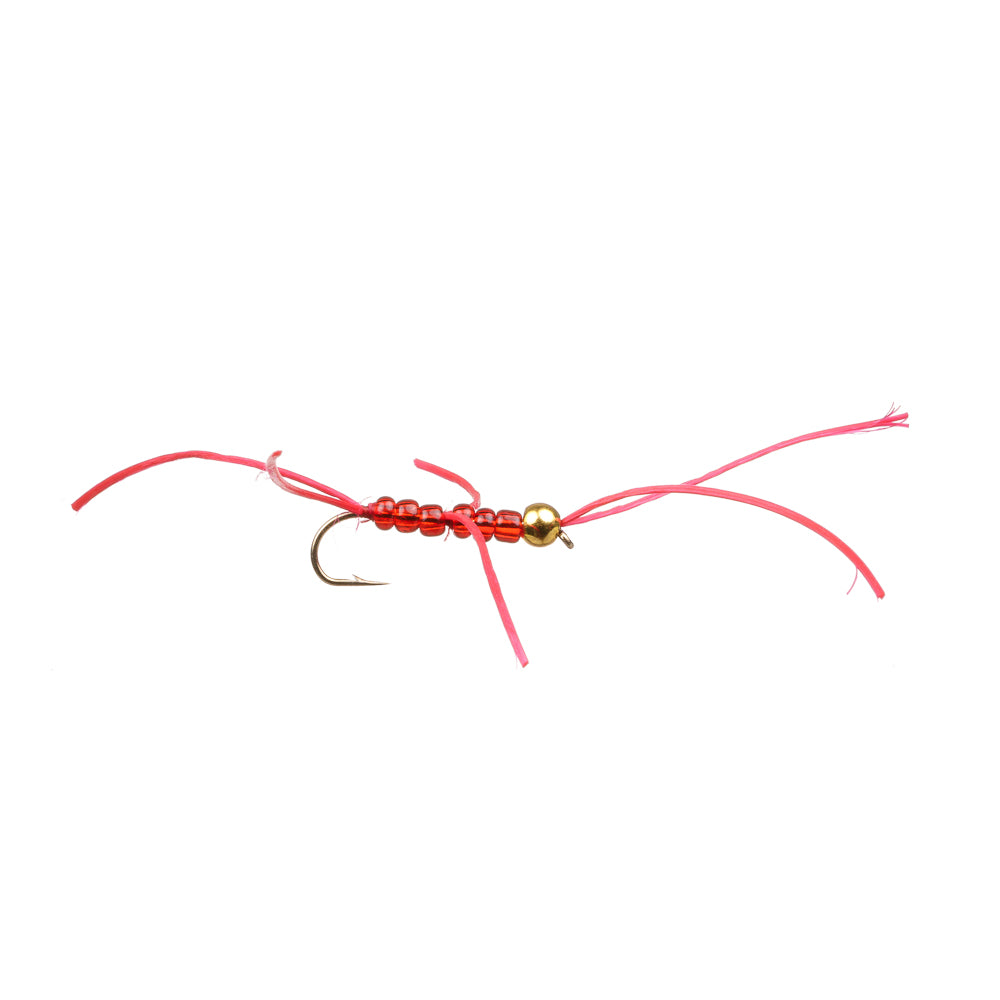 BLOODWORM APPS BEAD HEAD