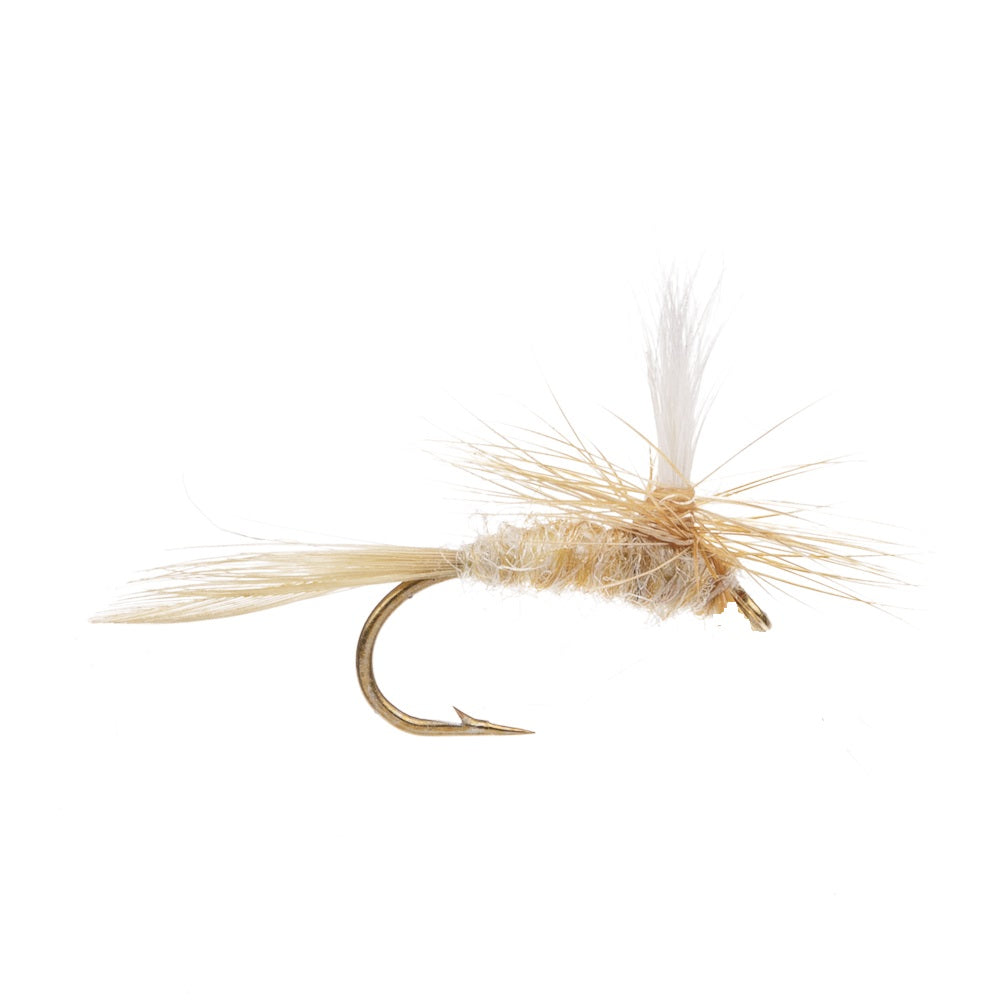 CAHILL LIGHT PARACHUTE