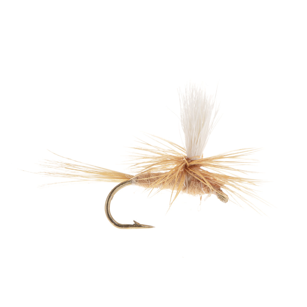 LIGHT CAHILL PARACHUTE