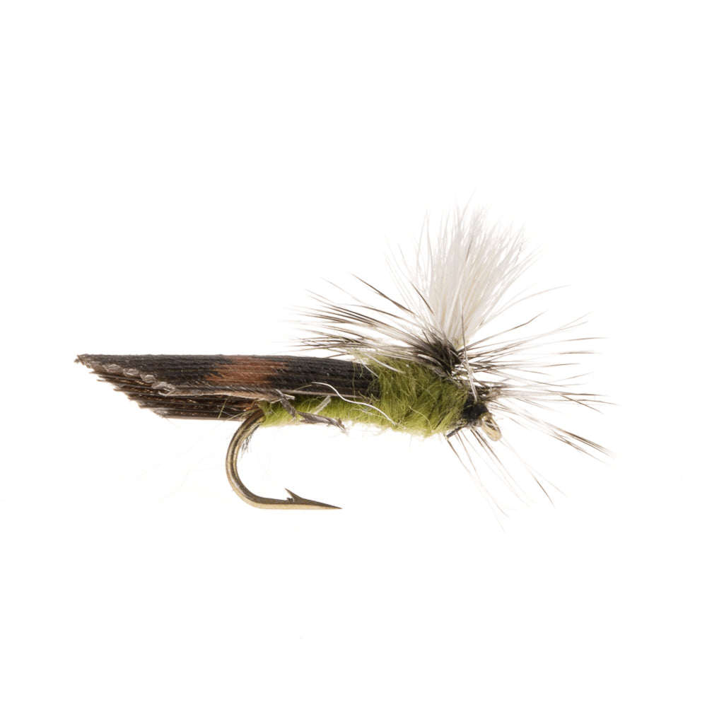 CADDIS OLIVE PARACHUTE