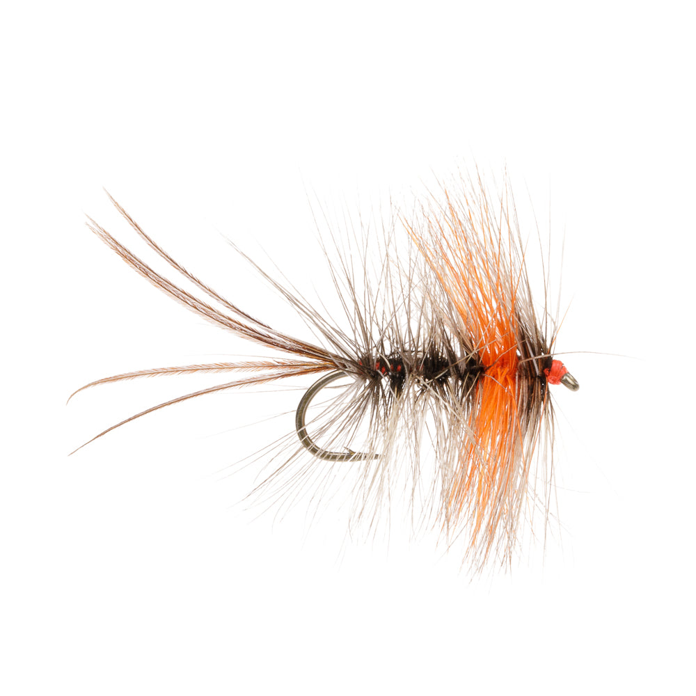 STRUGGLING MAYFLY